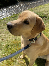 Load image into Gallery viewer, luxury British made lambswool dog collar