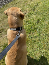 Load image into Gallery viewer, luxury British made lambswool dog lead